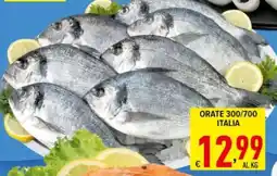 Iper Triscount Orate Italia offerta