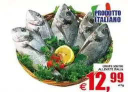 Pewex Orate allevate Italia offerta