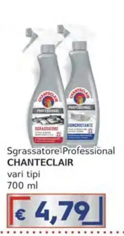 Italy Cash Sgrassatore Professional Chanteclair offerta