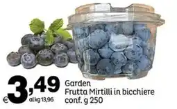 Elite Garden Frutta Mirtilli in bicchiere offerta