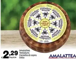 Elite Amalattea Testadura Caciotta di capra offerta