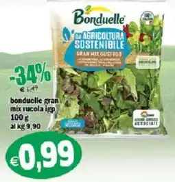 Il Castoro Supermercati Bonduelle gran mix rucola igp offerta