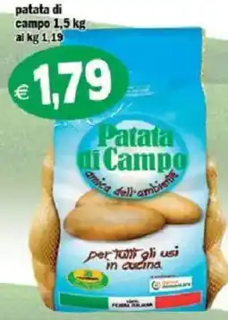 Il Castoro Supermercati Patata di Campo offerta