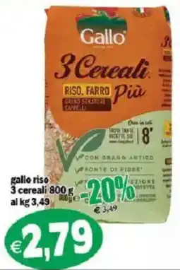 Il Castoro Supermercati Gallo 3 cereali offerta