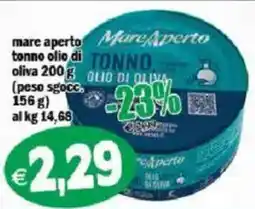 Il Castoro Supermercati Tonno olio di oliva Mare Aperto offerta
