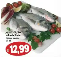 Il Castoro Supermercati orate 300/700 allevate Italia offerta