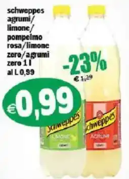 Il Castoro Supermercati Schweppes agrumi offerta