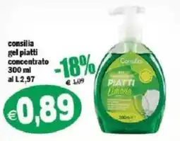 Il Castoro Supermercati Consilia gel piatti concentrato offerta