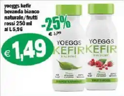 Il Castoro Supermercati YoeGGS kefir bianco naturale offerta