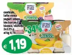 Il Castoro Supermercati yogurt intero bio banana bianco/mirtillo offerta