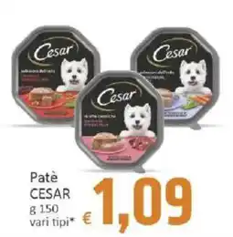 Paghi Poco Patè CESAR offerta