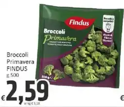 Paghi Poco Broccoli Primavera Findus offerta