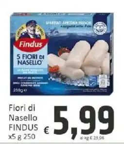 Paghi Poco Fiori di Nasello Findus offerta