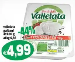 Il Castoro Supermercati Vallelata mozzarelle offerta