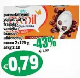 Il Castoro Supermercati Parmalat Zymil yogurt offerta
