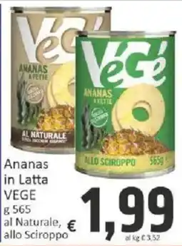 Paghi Poco Ananas in Latta VEGE offerta