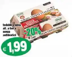 Il Castoro Supermercati Tedaldi uova all. a terra senza antibiotici offerta