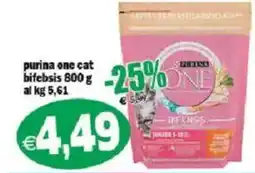 Il Castoro Supermercati purina one cat bifebsis offerta