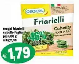 Il Castoro Supermercati Orogel friarielli cubello foglia offerta