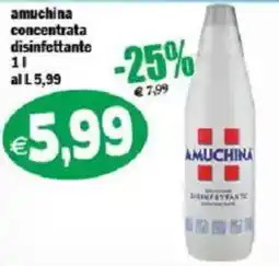 Il Castoro Supermercati amuchina concentrata disinfettante offerta