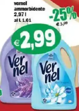 Il Castoro Supermercati Vernel ammorbidente offerta