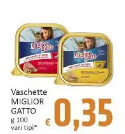 Paghi Poco Vaschette Miglior Gatto offerta