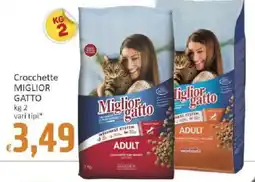 Paghi Poco Crocchette Miglior Gatto offerta