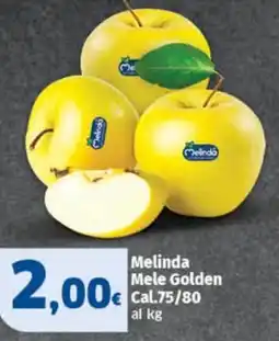 Ok Sigma Melinda Mele Golden offerta