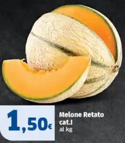 Ok Sigma Melone Retato offerta
