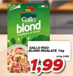MA Supermercati Gallo riso blond insalate offerta