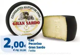 Ok Sigma Cao Pecorino Gran Sardo offerta