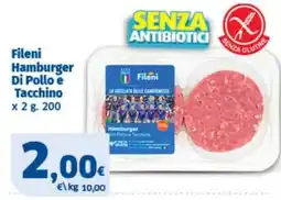 Ok Sigma Fileni Hamburger Di Pollo e Tacchino offerta