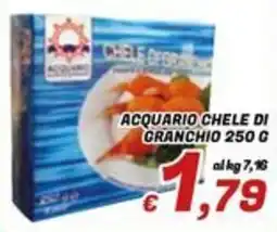 Idromarket Acquario chele di granchio offerta