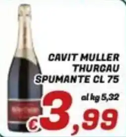 Idromarket Cavit Muller Thurcau Spumante offerta