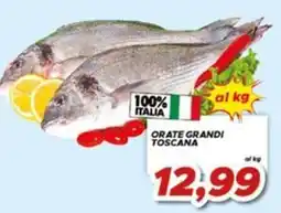 MA Supermercati Orate grandi Toscana offerta