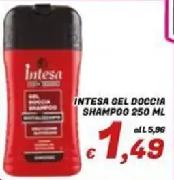 Idromarket Intesa gel doccia shampoo offerta