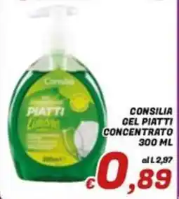 Idromarket Consilia gel piatti concentrato offerta