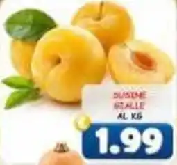 MercADone Susine stalle offerta