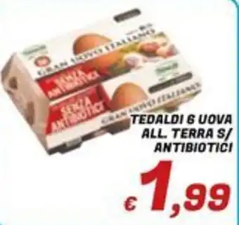 Uova Tedaldi senza antibiotici