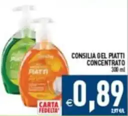 Supermercati Agorà Consilia gel piatti concentrato offerta