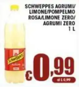 Sacoph Schweppes Agrumi offerta