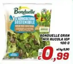 Idromarket Bonduelle mix rucola igp offerta