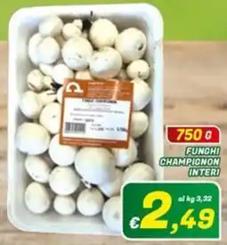 Idromarket Funghi Championon offerta