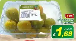 Idromarket Susine cialle cestino offerta