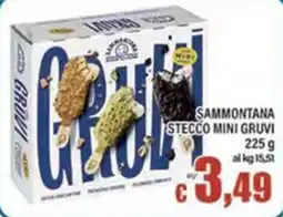 Top Supermercati Sammontana stecco mini gruvi offerta