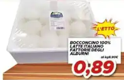 MA Supermercati Bocconcino 100% latte italiano fattorie degli albuni offerta