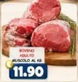 MercADone Bovino adulto muscolo offerta