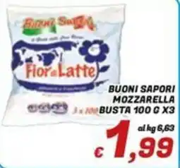 Idromarket Buoni Sapori Mozzarella offerta
