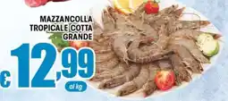 Sacoph Mazzancolla tropicale cotta grande offerta