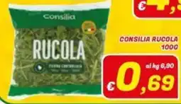 Idromarket Consilia Rucola offerta